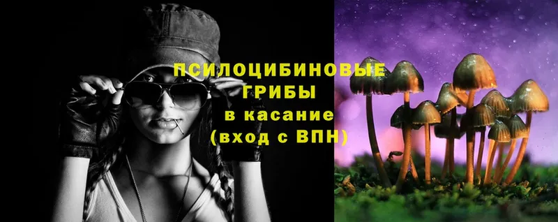 Галлюциногенные грибы MAGIC MUSHROOMS  Елабуга 